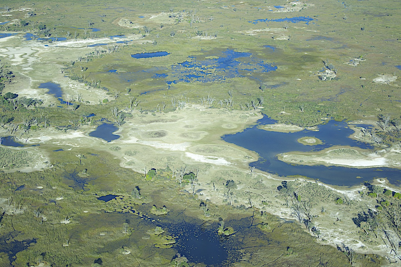 Okavango aerial reduced