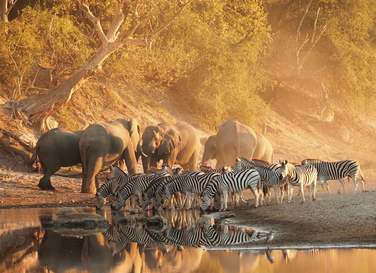 Beautiful Botswana - Matson & Ridley Safaris