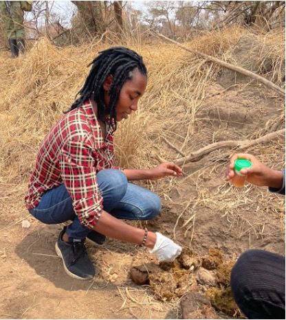 Emerance collecting dung sample for analysis