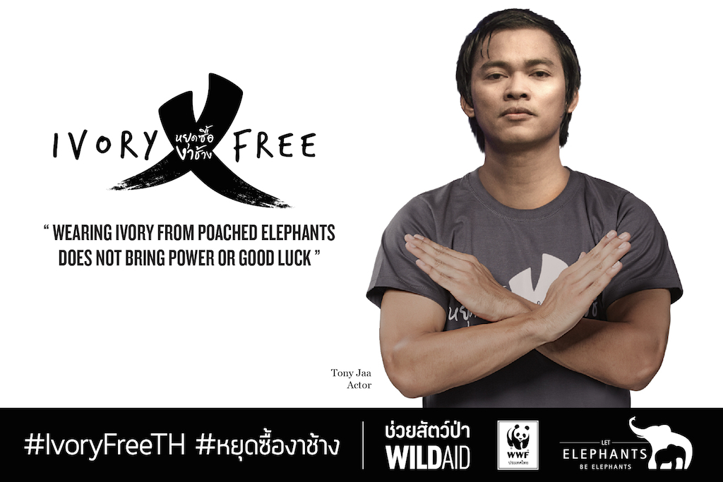IVORY AD TONY ENG reduced for web