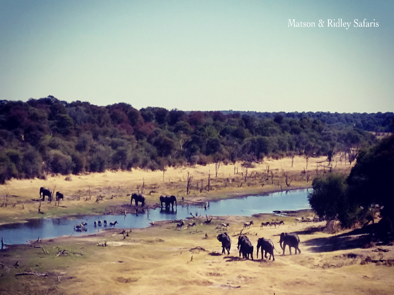 Botswana Highlights Safari