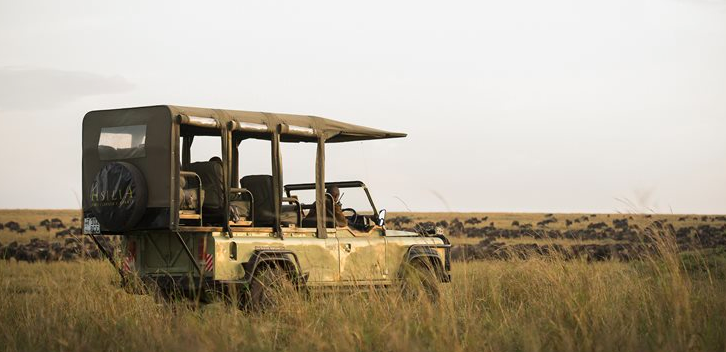 Kimondo Camp game drive, Serengeti. Photo: Asilia